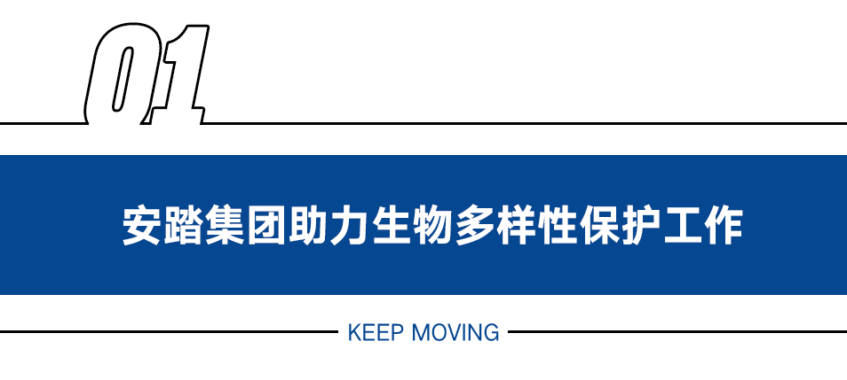 2021残奥会女子游泳冠军_重赛残奥会女子游泳冠军_世界残奥游泳女冠军