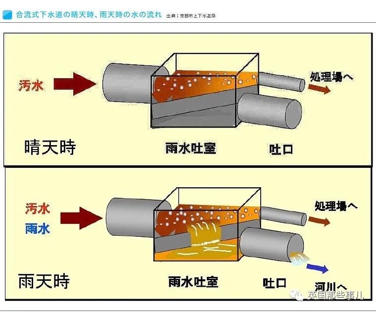 日本游泳比赛吐了_日本游泳比赛冠军吐了_日本游泳冠军男