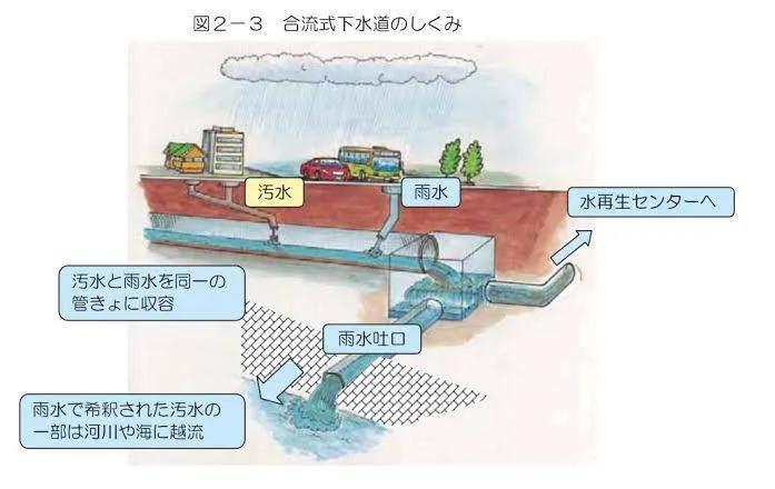 日本游泳比赛冠军吐了_日本游泳世界冠军_日本游泳冠军男