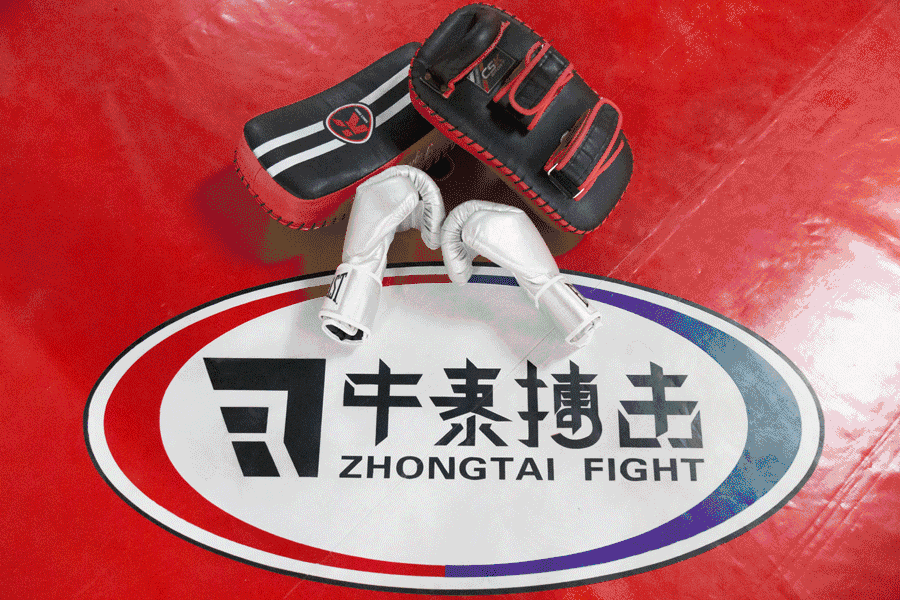 培训篮球大兴技巧有哪些_大兴篮球技巧培训_篮球如何培训