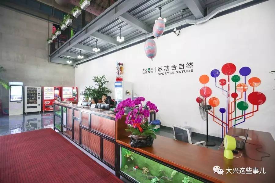 大兴篮球技巧培训_篮球如何培训_培训篮球大兴技巧有哪些
