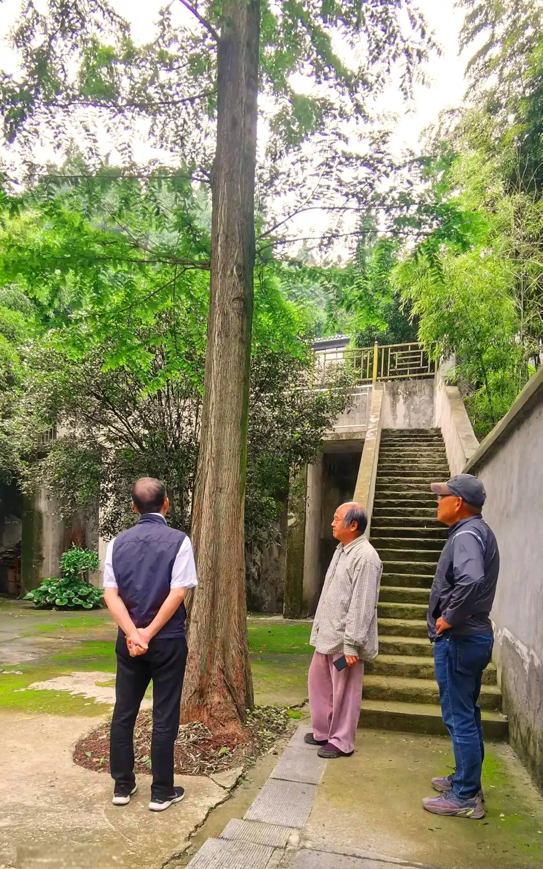 探寻古代隐居的意义与背景：湖北南漳孕育众