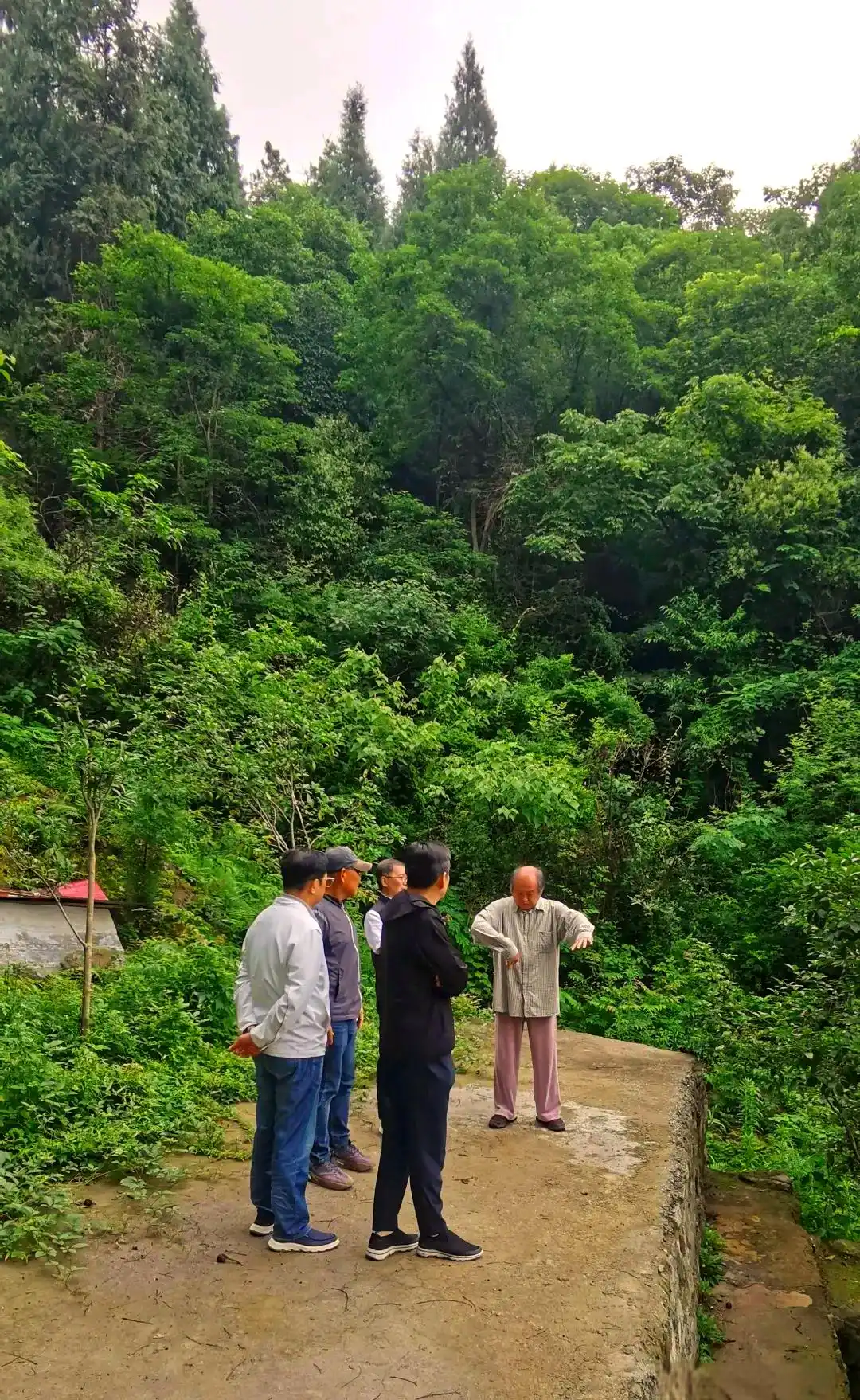 隐居经验_隐居修炼什么意思_隐居的生活技能